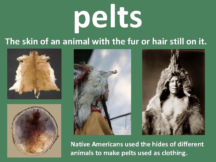 pelts The skin of an animal with the fur or hair still on it.