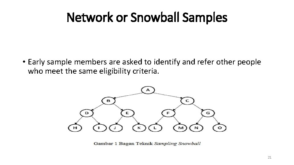 Network or Snowball Samples • Early sample members are asked to identify and refer