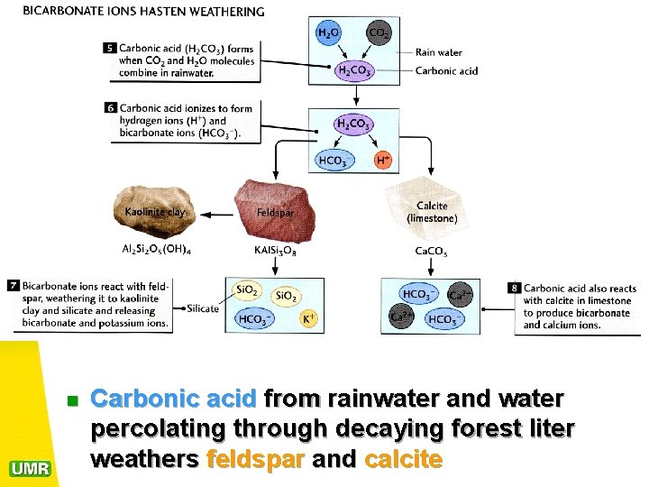 Part 6 WEATHERING OF CARBONATE ROCK n Limestone