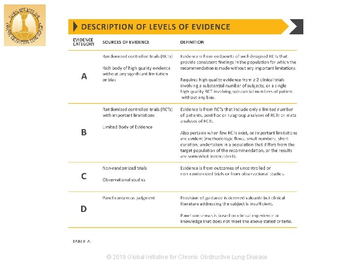 © 2017 Global Initiative for Chronic Obstructive Lung Disease © 2019 Global Initiative for