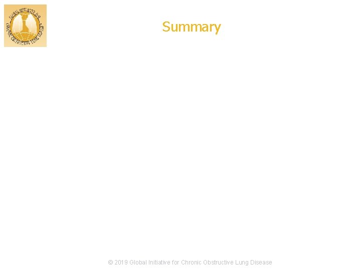 Summary © 2017 Global Initiative for Chronic Obstructive Lung Disease © 2019 Global Initiative