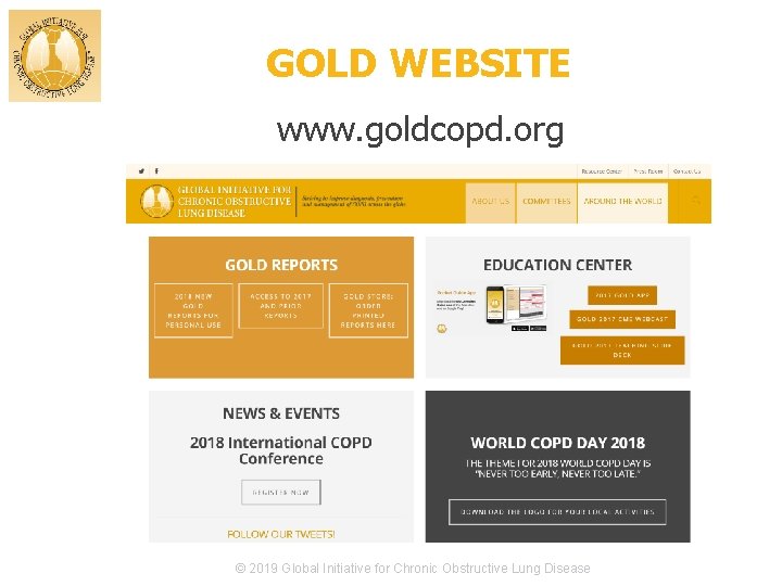 GOLD WEBSITE www. goldcopd. org © 2019 Global Initiative for Chronic Obstructive Lung Disease