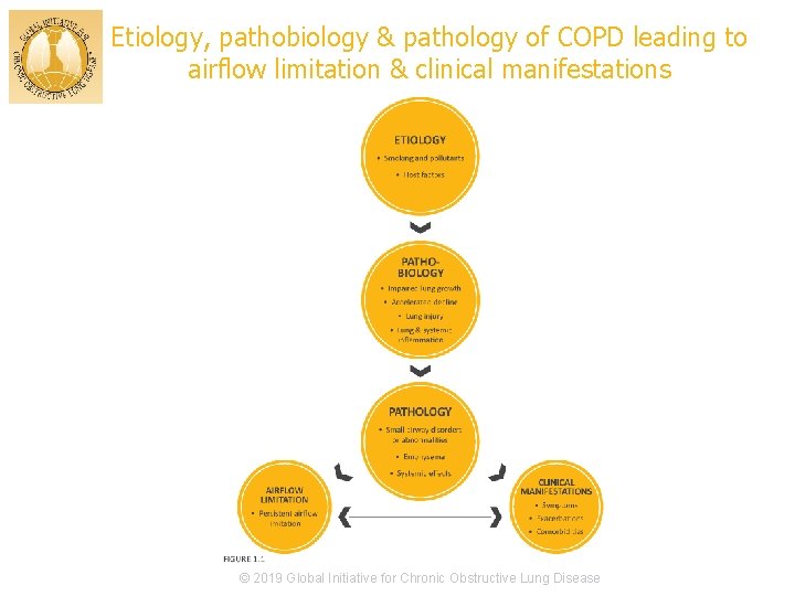 Etiology, pathobiology & pathology of COPD leading to airflow limitation & clinical manifestations ©