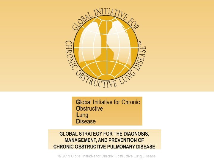 © 2019 Global Initiative for Chronic Obstructive Lung Disease 