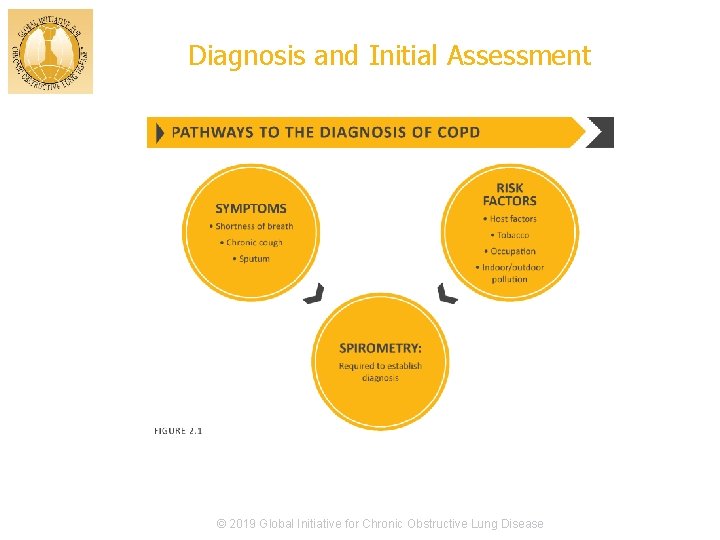 Diagnosis and Initial Assessment © 2019 Global Initiative for Chronic Obstructive Lung Disease 