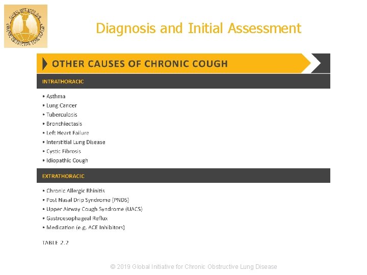 Diagnosis and Initial Assessment © 2019 Global Initiative for Chronic Obstructive Lung Disease 