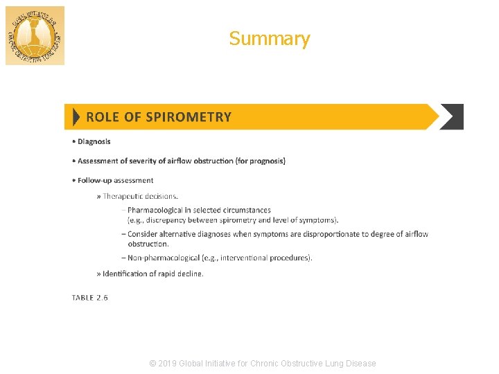 Summary © 2019 Global Initiative for Chronic Obstructive Lung Disease 