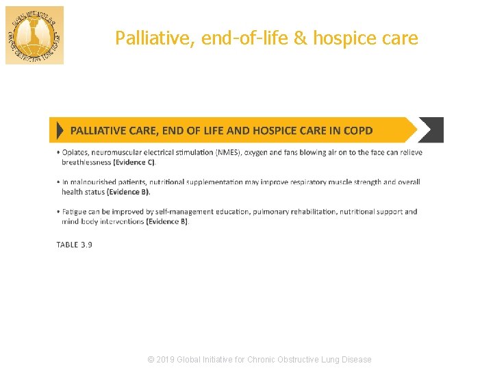 Palliative, end-of-life & hospice care © 2019 Global Initiative for Chronic Obstructive Lung Disease