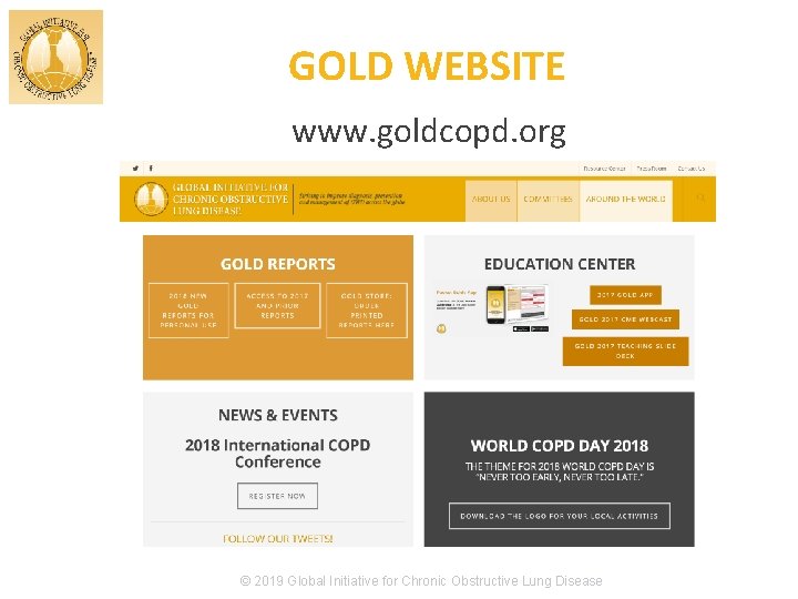 GOLD WEBSITE www. goldcopd. org © 2019 Global Initiative for Chronic Obstructive Lung Disease