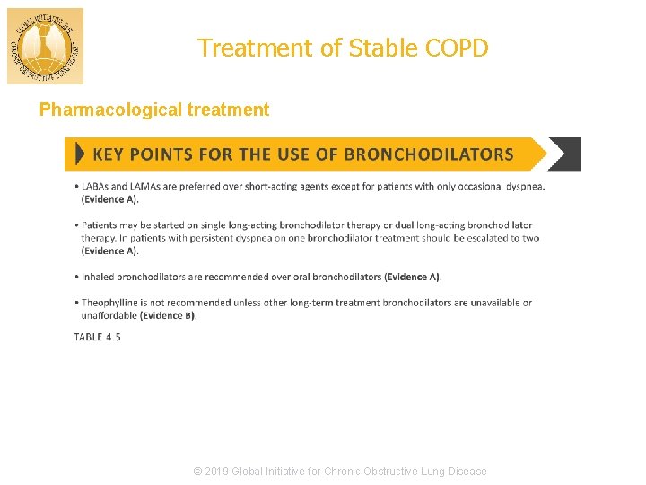 Treatment of Stable COPD Pharmacological treatment © 2017 Global Initiative for Chronic Obstructive Lung