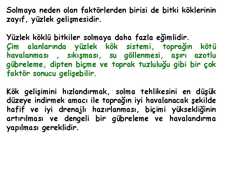 Solmaya neden olan faktörlerden birisi de bitki köklerinin zayıf, yüzlek gelişmesidir. Yüzlek köklü bitkiler