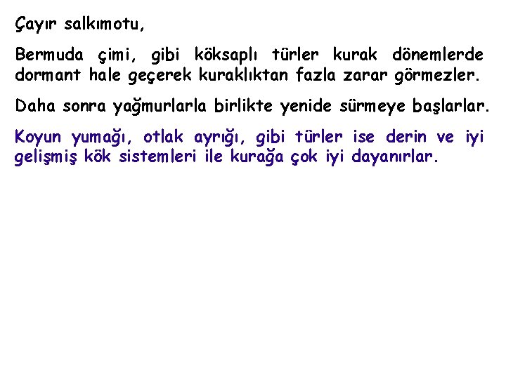 Çayır salkımotu, Bermuda çimi, gibi köksaplı türler kurak dönemlerde dormant hale geçerek kuraklıktan fazla