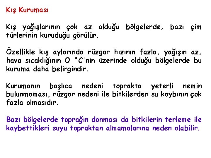 Kış Kuruması Kış yağışlarının çok az olduğu bölgelerde, bazı çim türlerinin kuruduğu görülür. Özellikle