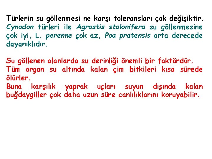 Türlerin su göllenmesi ne karşı toleransları çok değişiktir. Cynodon türleri ile Agrostis stolonifera su