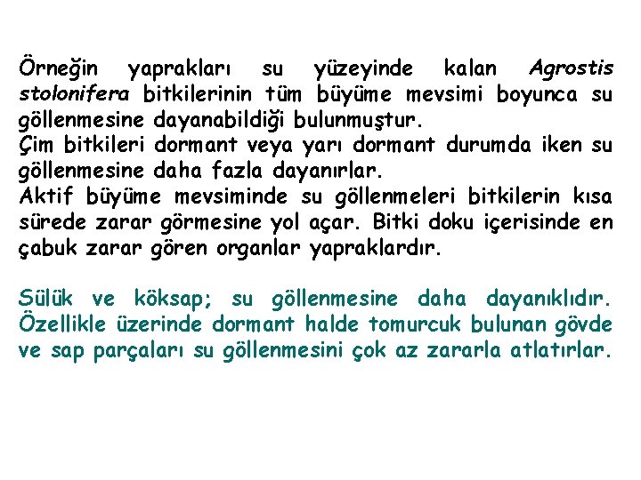 Örneğin yaprakları su yüzeyinde kalan Agrostis stolonifera bitkilerinin tüm büyüme mevsimi boyunca su göllenmesine