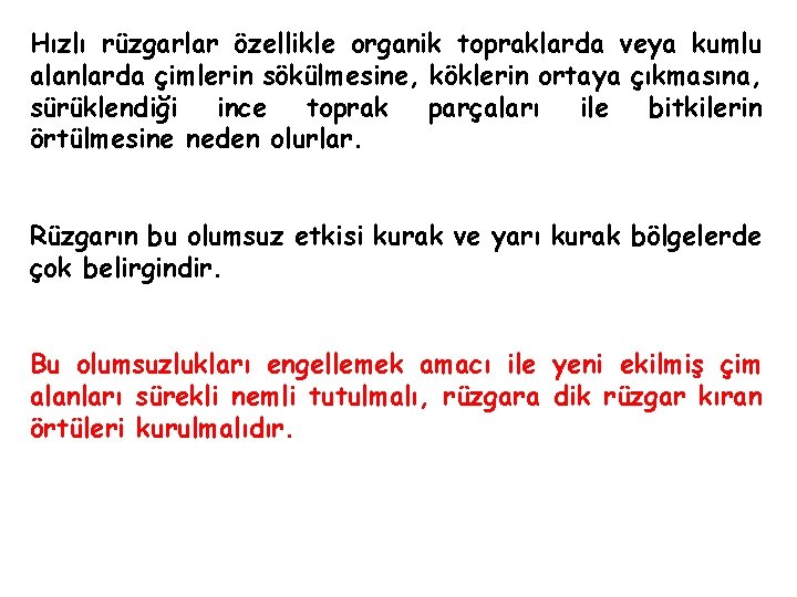 Hızlı rüzgarlar özellikle organik topraklarda veya kumlu alanlarda çimlerin sökülmesine, köklerin ortaya çıkmasına, sürüklendiği