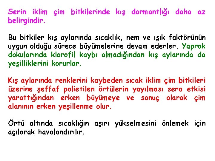 Serin iklim çim bitkilerinde kış dormantlığı daha az belirgindir. Bu bitkiler kış aylarında sıcaklık,