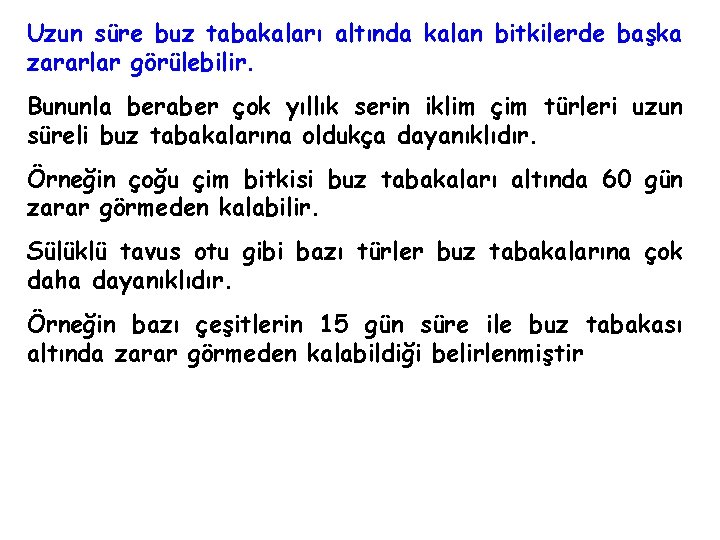 Uzun süre buz tabakaları altında kalan bitkilerde başka zararlar görülebilir. Bununla beraber çok yıllık