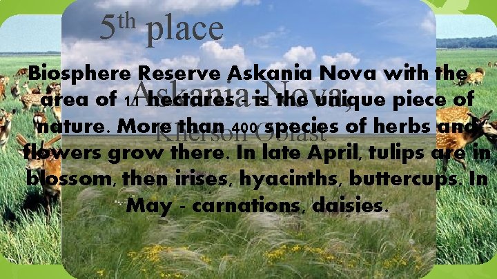 th 5 place Biosphere Reserve Askania Nova with the area of 11 hectares -