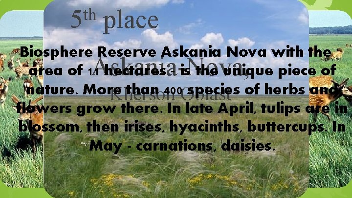 th 5 place Biosphere Reserve Askania Nova with the area of 11 hectares - th 5 place Biosphere Reserve Askania Nova with the area of 11 hectares -
