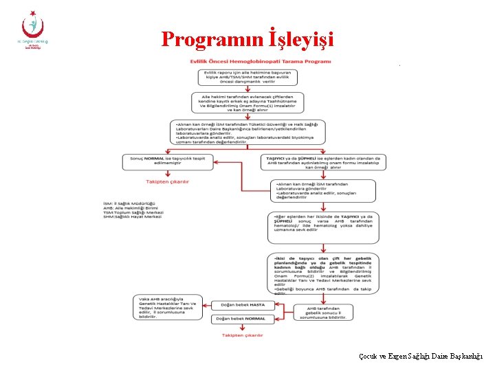 Programın İşleyişi Çocuk ve Ergen Sağlığı Daire Başkanlığı 