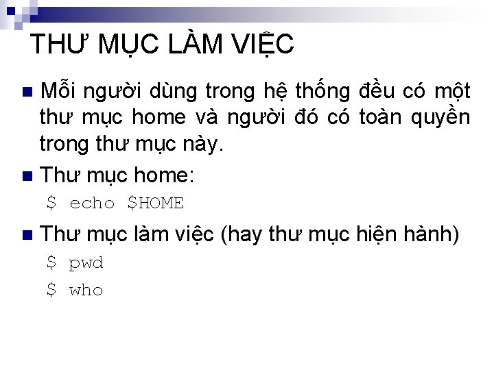 THƯ MỤC LÀM VIỆC Mỗi người dùng trong hệ thống đều có một thư