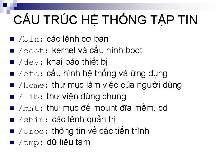 CẤU TRÚC HỆ THỐNG TẬP TIN n n n n n /bin: các lệnh