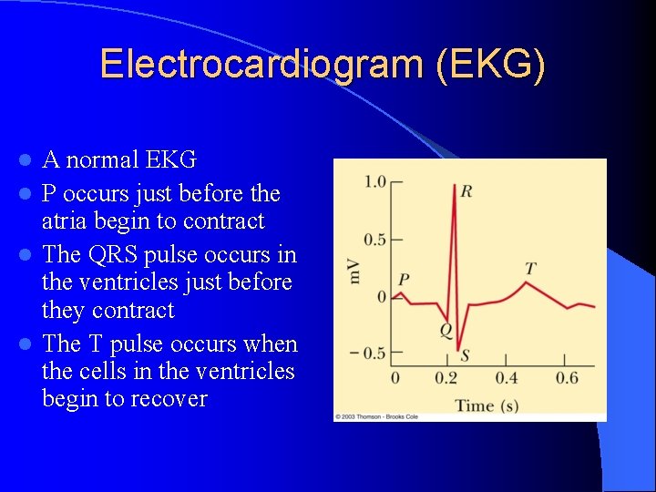 Electrocardiogram (EKG) A normal EKG l P occurs just before the atria begin to