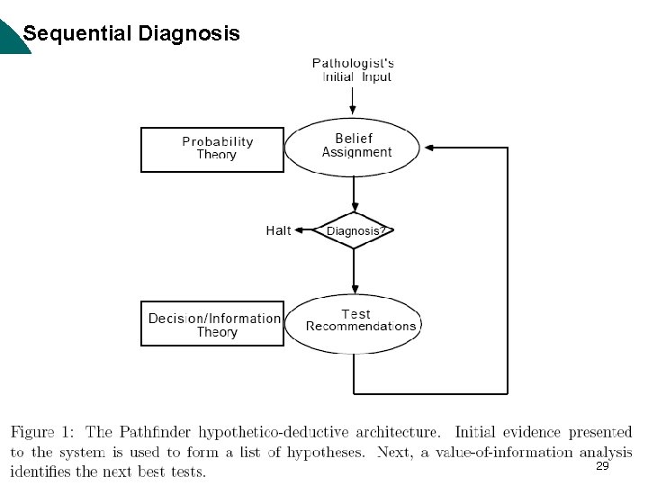 Sequential Diagnosis 29 