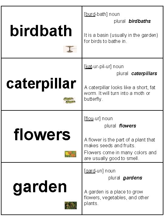 birdbath caterpillar flowers garden [burd-bath] noun plural birdbaths It is a basin (usually in