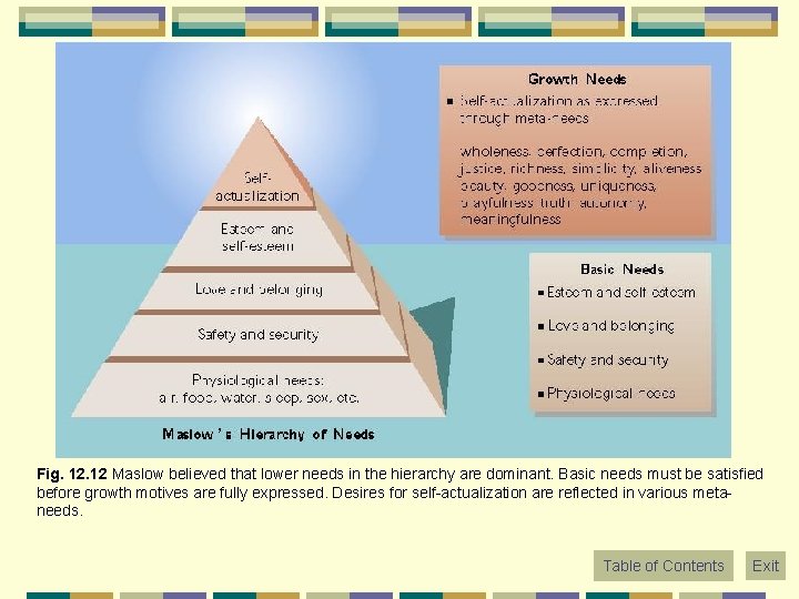 Fig. 12 Maslow believed that lower needs in the hierarchy are dominant. Basic needs