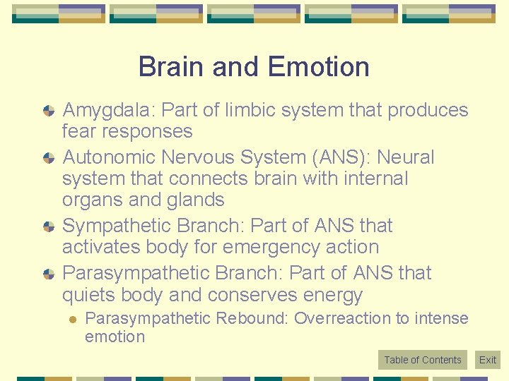 Brain and Emotion Amygdala: Part of limbic system that produces fear responses Autonomic Nervous