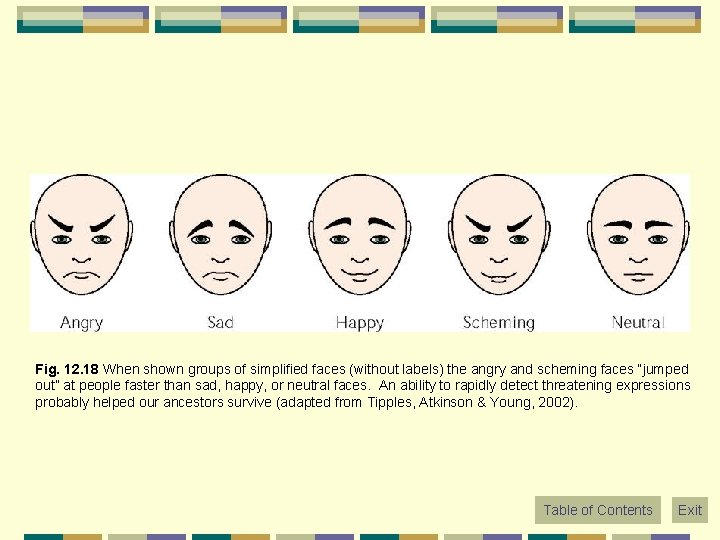 Fig. 12. 18 When shown groups of simplified faces (without labels) the angry and