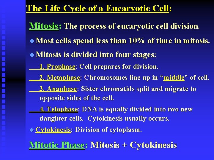 The Life Cycle of a Eucaryotic Cell: Mitosis: The process of eucaryotic cell division.