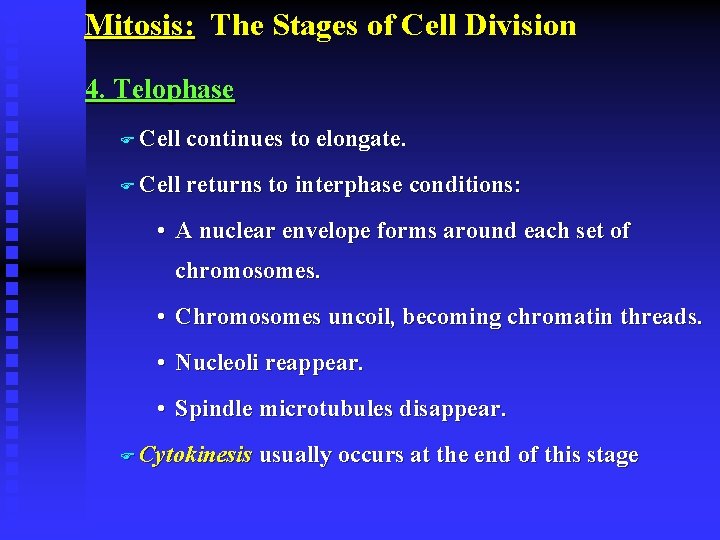 Mitosis: The Stages of Cell Division 4. Telophase F Cell continues to elongate. F