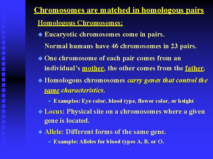 Chromosomes are matched in homologous pairs Homologous Chromosomes: u Eucaryotic chromosomes come in pairs.