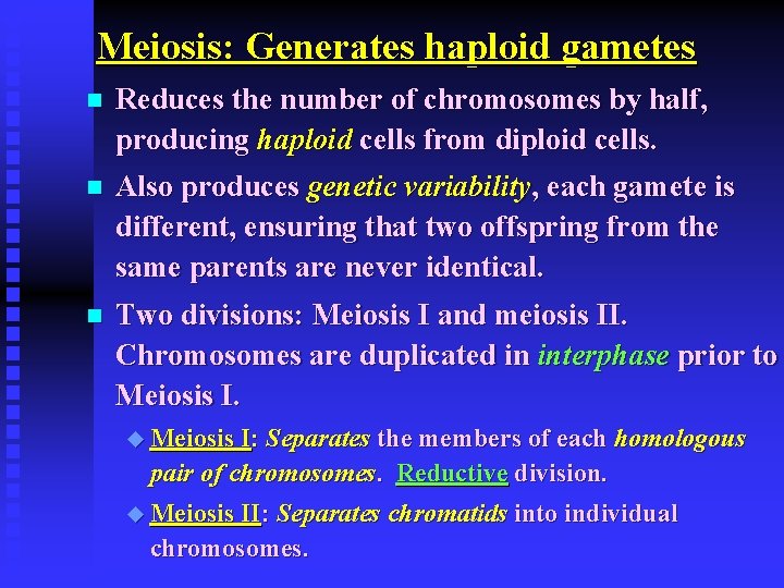 Meiosis: Generates haploid gametes n Reduces the number of chromosomes by half, producing haploid