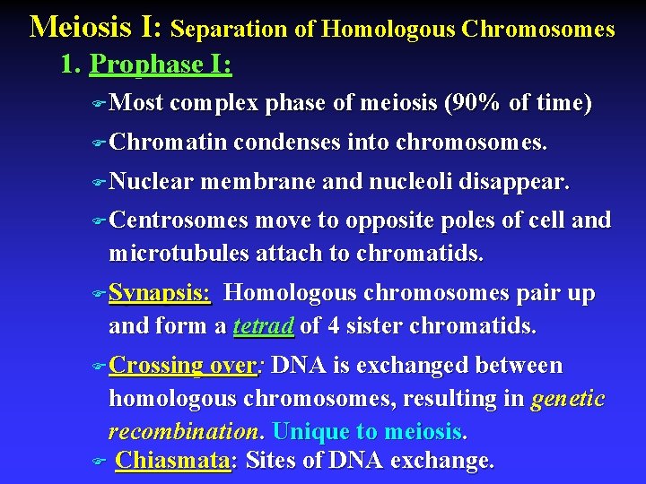 Meiosis I: Separation of Homologous Chromosomes 1. Prophase I: F Most complex phase of
