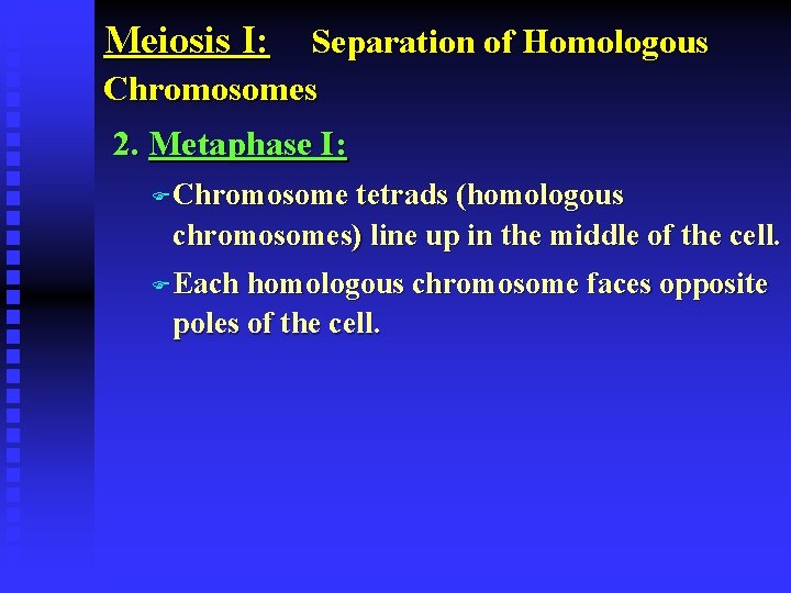 Meiosis I: Separation of Homologous Chromosomes 2. Metaphase I: F Chromosome tetrads (homologous chromosomes)