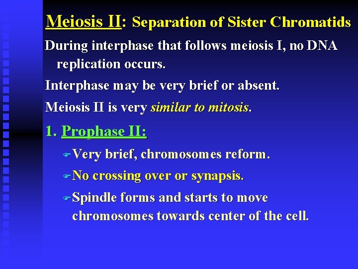Meiosis II: Separation of Sister Chromatids During interphase that follows meiosis I, no DNA