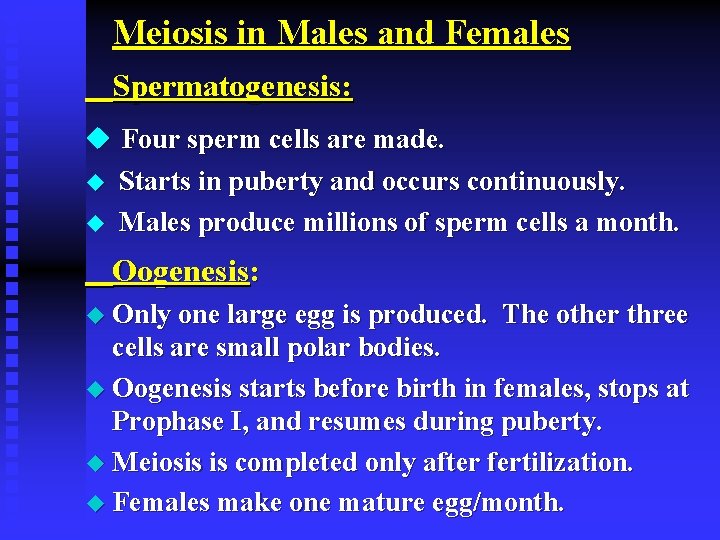 Meiosis in Males and Females Spermatogenesis: u Four sperm cells are made. u Starts