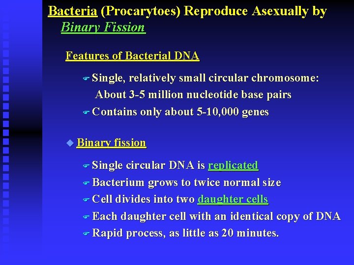 Bacteria (Procarytoes) Reproduce Asexually by Binary Fission Features of Bacterial DNA F Single, relatively