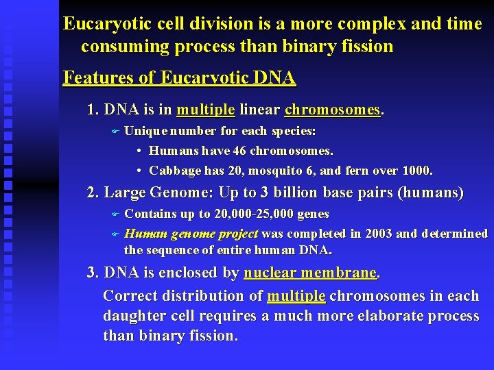 Eucaryotic cell division is a more complex and time consuming process than binary fission