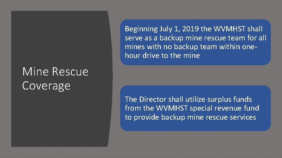 Beginning July 1, 2019 the WVMHST shall serve as a backup mine rescue team