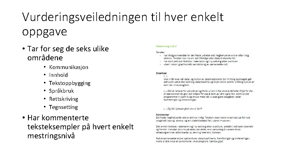 Vurderingsveiledningen til hver enkelt oppgave • Tar for seg de seks ulike områdene •