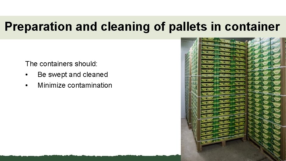 Preparation and cleaning of pallets in container The containers should: • Be swept and