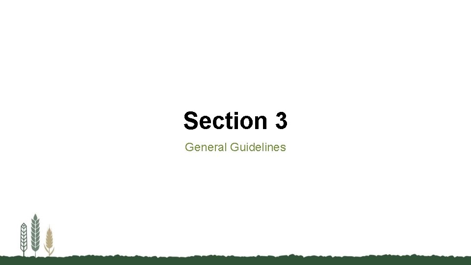 Section 3 General Guidelines 