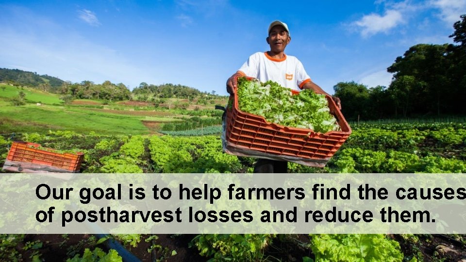 Our goal is to help farmers find the causes of postharvest losses and reduce