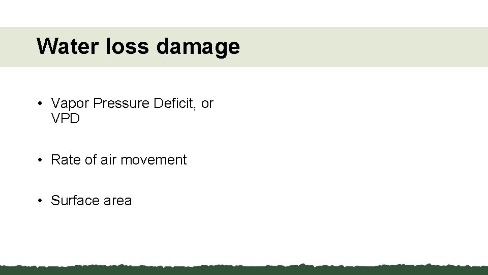 Water loss damage • Vapor Pressure Deficit, or VPD • Rate of air movement