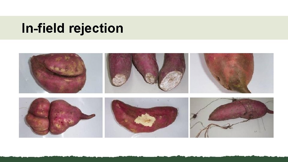 In-field rejection 